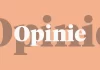 www.decapellenaar.nl