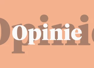 CAPC: Inițiativa legislativă privind efectuarea decontărilor în numerar conține elemente de vulnerabilitate și de coruptibilitate www.decapellenaar.nl