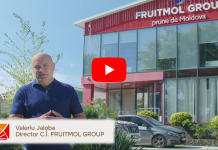 #banicurati – Afaceri integre: Fruitmol