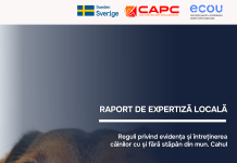 (Română) Experții CAPC și „ECOU” semnalează carențe majore în încă o decizie a Consiliului Municipal Cahul